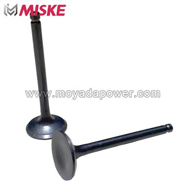 Motorcycle Engine Parts Valve for TRN175
